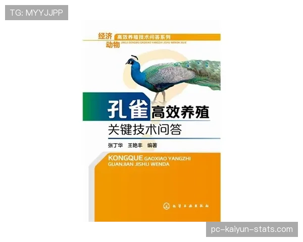 巴西出局原因解析:挪威高效反击成为关键